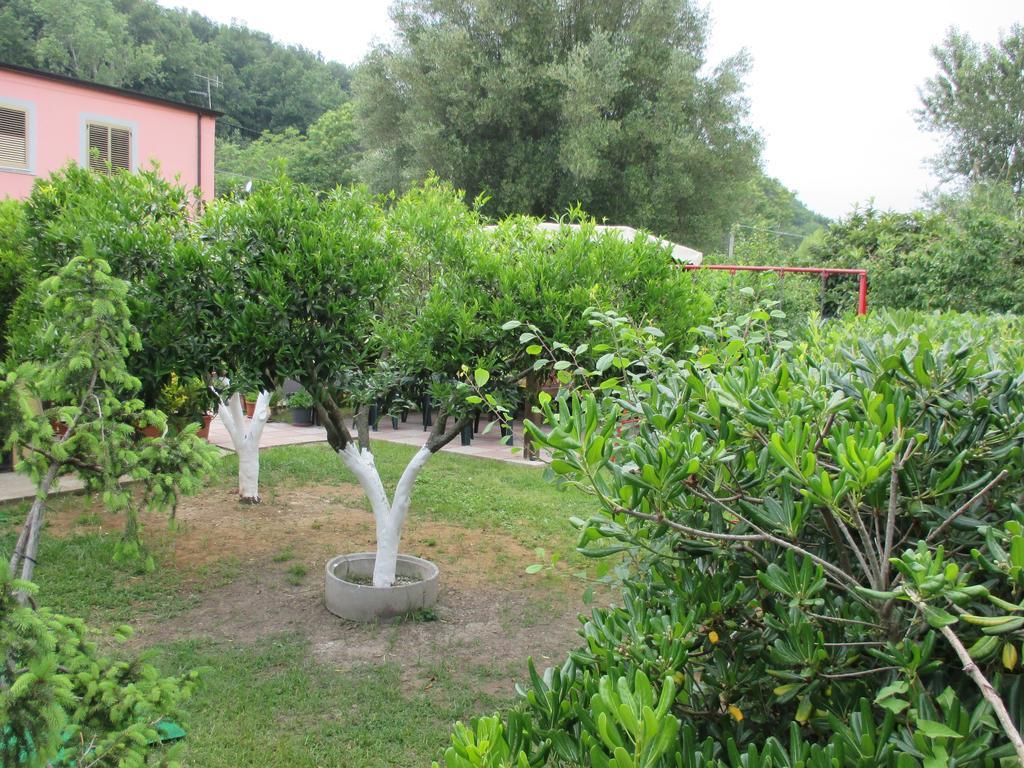 Palinuro Casa Vacanze "Donna Antonia" Εξωτερικό φωτογραφία